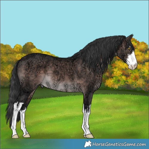 Horse Color:Platinum White Spotted Brown Ice 