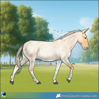 Horse Color:White Spotted Palomino Roan Splash 