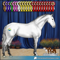 Horse Color:Gray Bay Roan Frame Appaloosa 