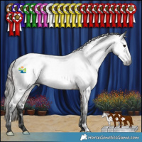 Horse Color:Gray Bay Roan Frame Near Leopard
