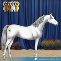 Horse Color:Gray Bay Roan Splash Frame Varnish 