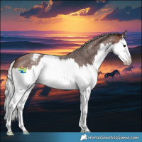 Horse Color:Silver Brown Roan Splash Varnish 