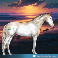 Horse Color:Palomino Roan Splash Frame Varnish 