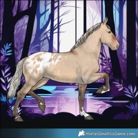 Horse Color:Silver Brown Dun Appaloosa 