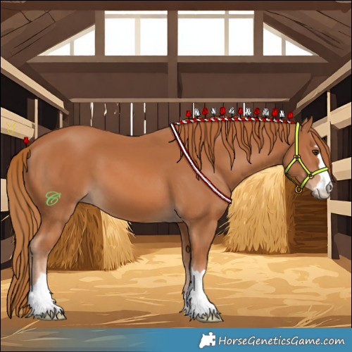 Horse Color:Chestnut 