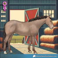 Horse Color:Sable Champagne 