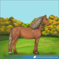 Horse Color:Chestnut 