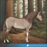 Horse Color:Liver Red Dun Tobiano Rabicano 
