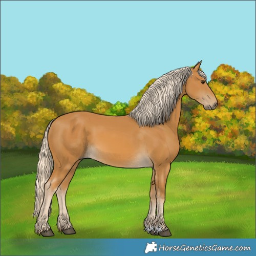 Horse Color:Palomino