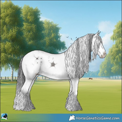 Horse Color:Grullo Mushroom Sabino Splash Rabicano 