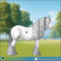 Horse Color:Grullo Mushroom Sabino Splash Rabicano