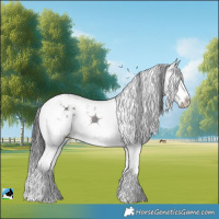 Horse Color:Grullo Mushroom Sabino Splash Rabicano