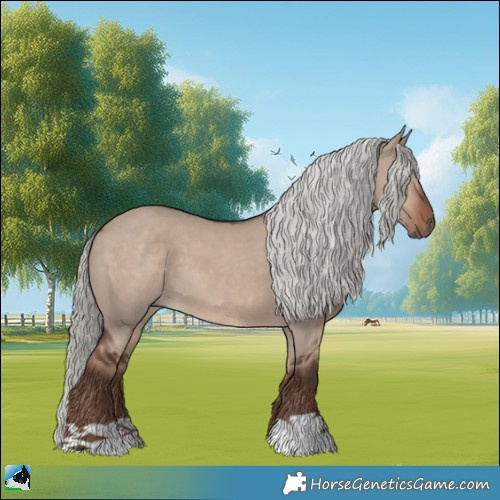 Horse Color:Liver Red Dun Mushroom 
