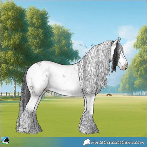 Horse Color:Grullo Mushroom Sabino Rabicano