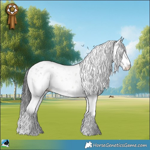 Horse Color:Grullo Onyx Sabino Rabicano 