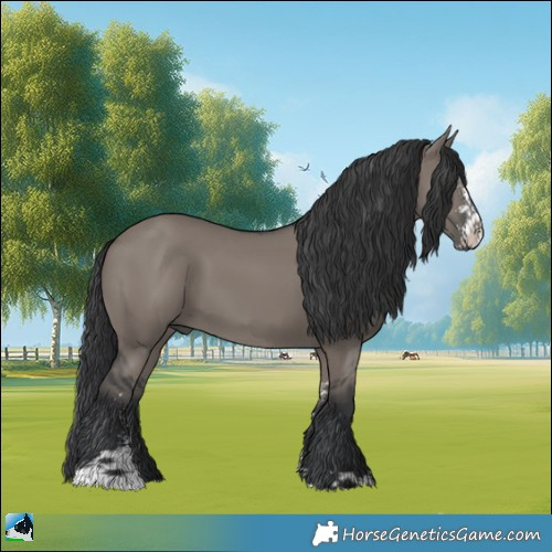 Horse Color:Grullo Sabino 
