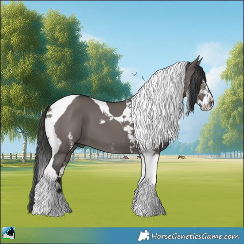 Horse Color:Grullo Sabino Tobiano 