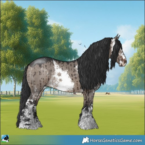 Horse Color:Brown Dun Mushroom Sabino Rabicano Brindle 