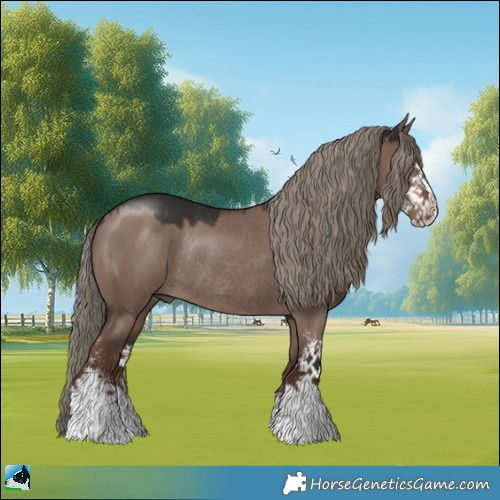 Horse Color:Liver Red Dun Mushroom Sabino Rabicano 