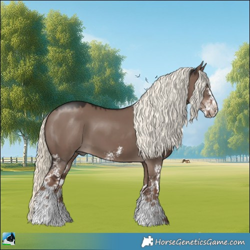 Horse Color:Liver Red Dun Mushroom Sabino 