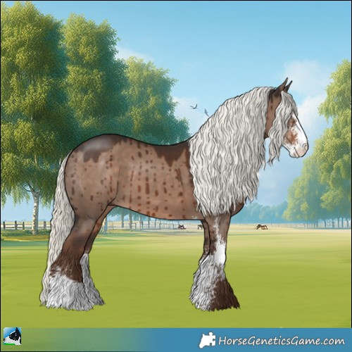 Horse Color:Liver Red Dun Mushroom Sabino Brindle 