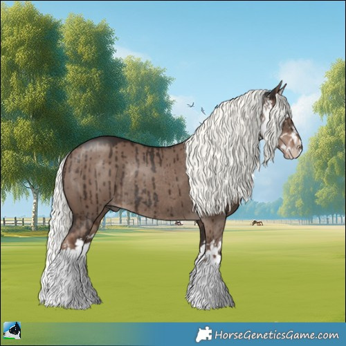 Horse Color:Liver Red Dun Mushroom Sabino Splash Rabicano Brindle 