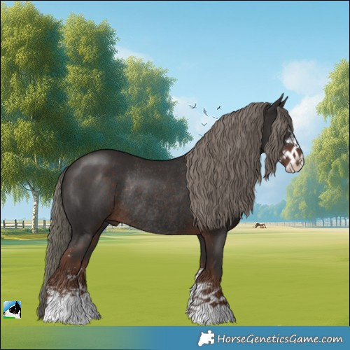 Horse Color:Liver Chestnut Mushroom Sabino Rabicano 