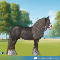 Horse Color:Liver Chestnut Mushroom Sabino Rabicano