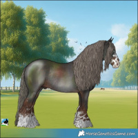 Horse Color:Liver Chestnut Mushroom Sabino Rabicano 