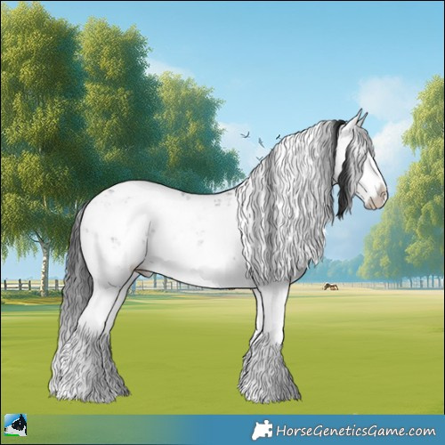 Horse Color:Black Mushroom Sabino Splash Rabicano 