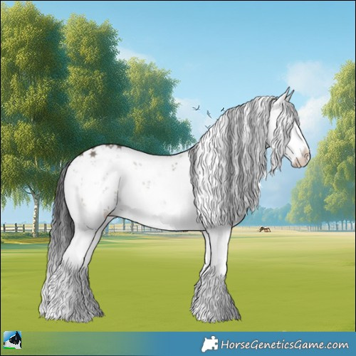 Horse Color:Grullo Onyx Sabino 