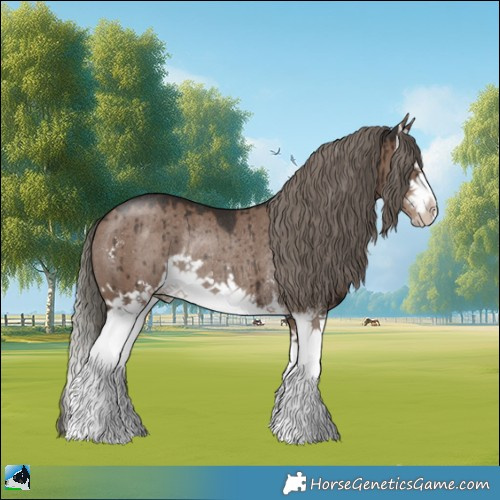 Horse Color:Liver Red Dun Mushroom Sabino Splash Rabicano Brindle 
