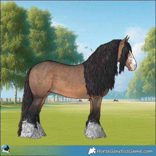 Horse Color:Brown Dun Sabino 
