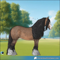 Horse Color:Brown Dun Sabino