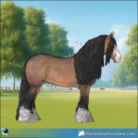 Horse Color:Brown Dun Sabino