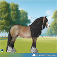 Horse Color:Brown Dun Sabino
