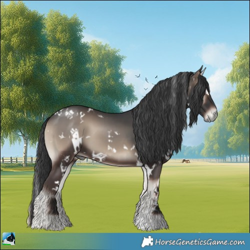 Horse Color:White Spotted Blue Onyx 