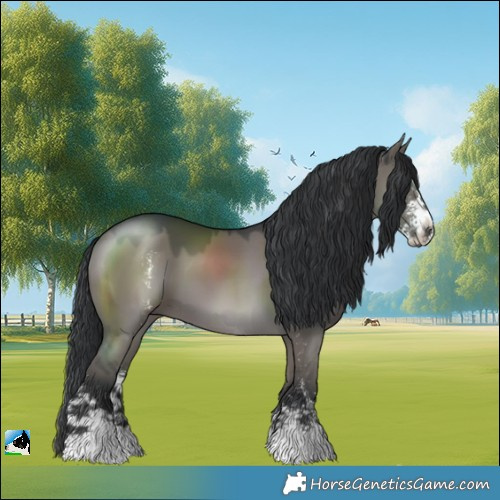 Horse Color:Grullo Mushroom Sabino 
