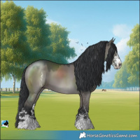Horse Color:Grullo Mushroom Sabino