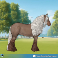 Horse Color:Liver Red Dun Mushroom Rabicano