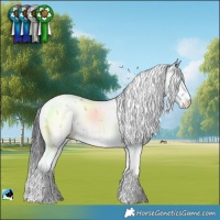 Horse Color:Brown Dun Mushroom Sabino