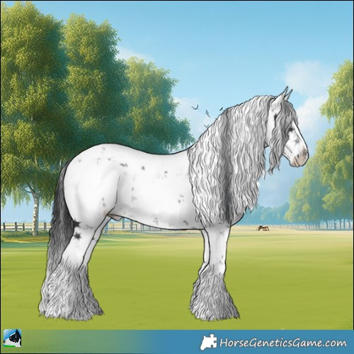 Horse Color:Black Mushroom Sabino 