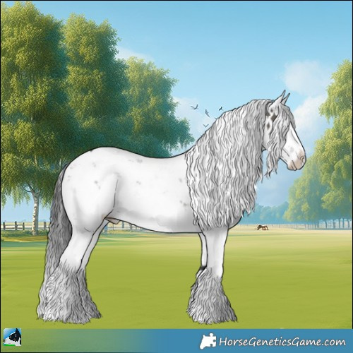 Horse Color:Grullo Mushroom Sabino 