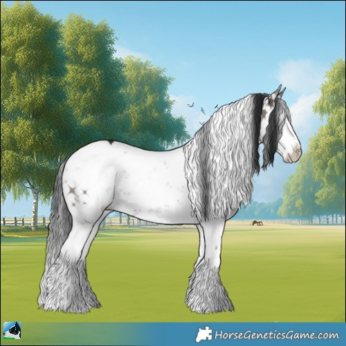 Horse Color:Grullo Mushroom Sabino Rabicano 