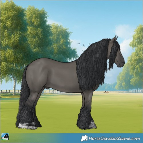 Horse Color:Grullo Mushroom 