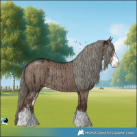 Horse Color:Liver Red Dun Mushroom Sabino Rabicano Brindle 
