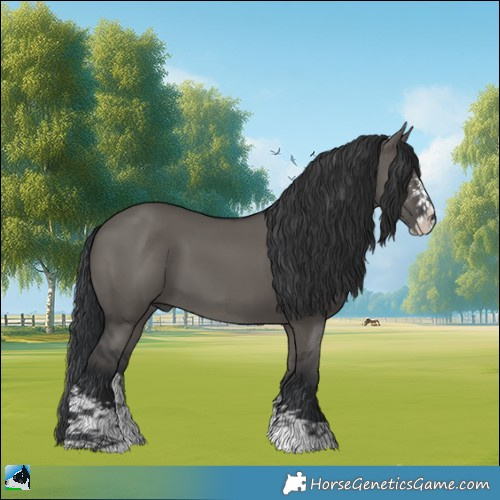 Horse Color:Grullo Sabino 