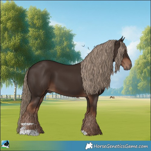 Horse Color:Liver Chestnut 
