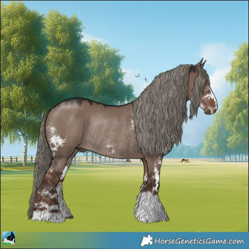 Horse Color:Liver Red Dun Mushroom Sabino Rabicano 