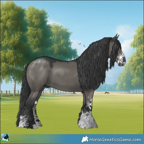 Horse Color:Grullo Mushroom Sabino 